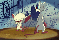Link to Pinky and the Brain now loading...